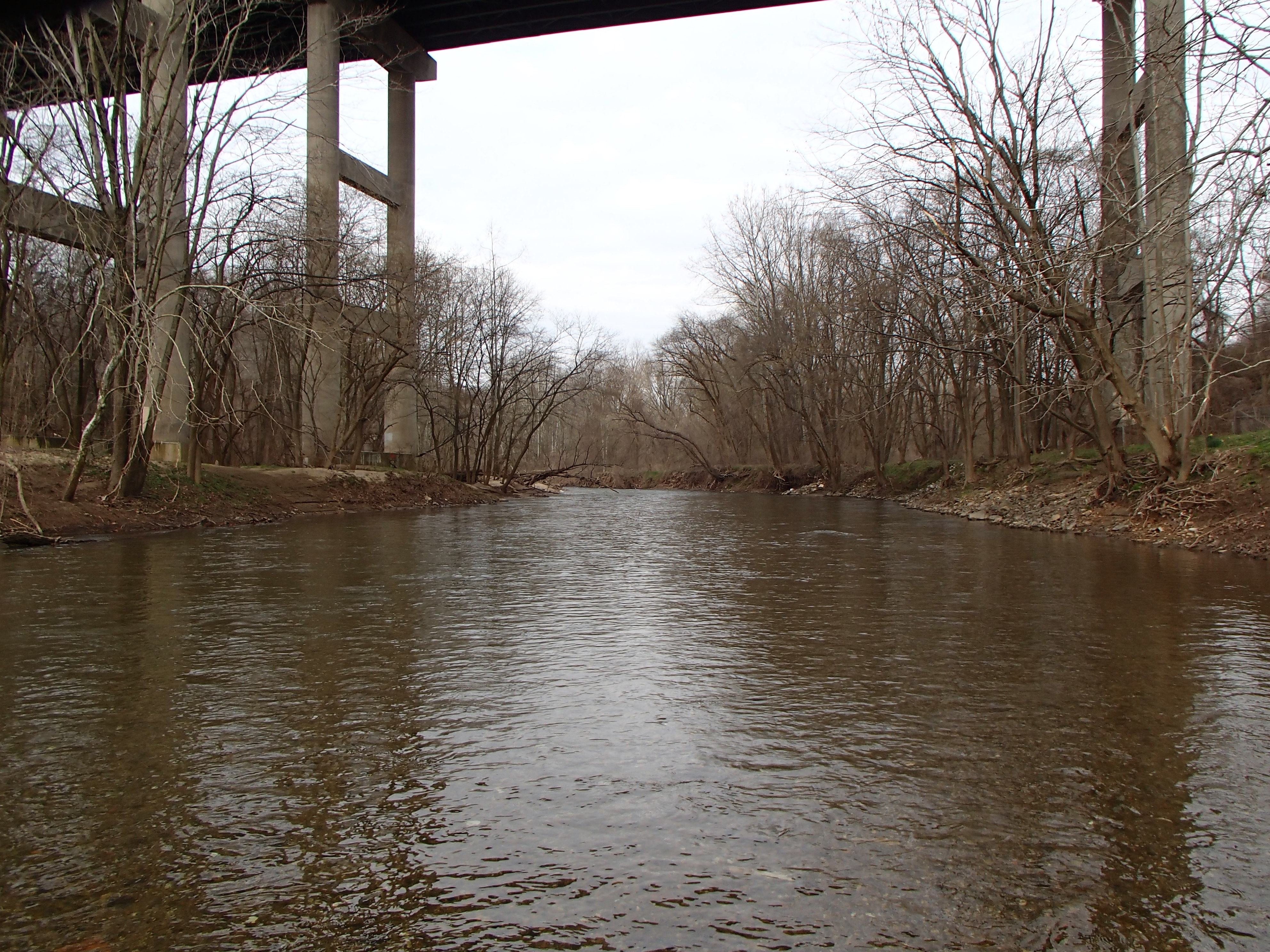 Field photo showing stream conditions at site PATL-B03-X-2016_midpoint looking upstream